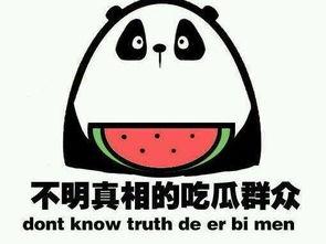 秋日吃瓜小说免费阅读,一场穿越时空的甜蜜邂逅 第1张 秋日吃瓜小说免费阅读,一场穿越时空的甜蜜邂逅 第1张